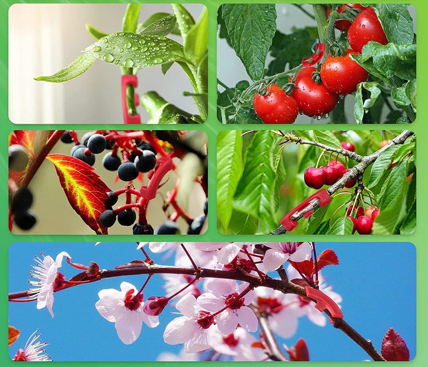 Inovatívne spony na ohýbanie rastliny